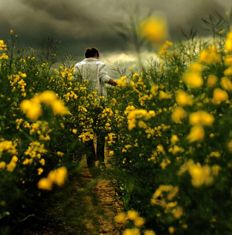 平民税和富人税,有什么税是穷人税