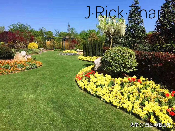 怎样种植草坪技术,果岭草坪的种植养护方法及技巧