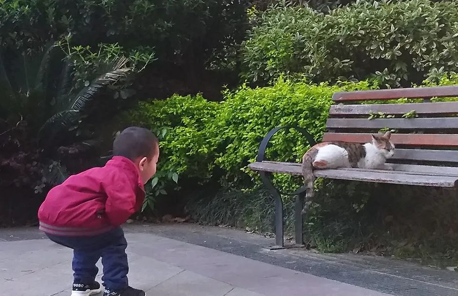 陪孩子成长的第一个365天,陪伴孩子成长的简短走心文章