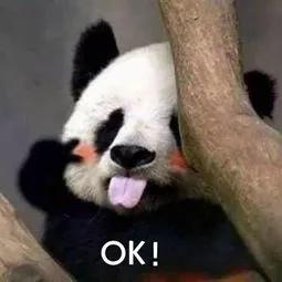 停车场被交警锁定,违法停车行为被记录请立即撤离