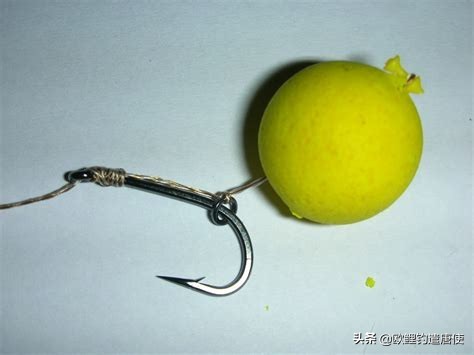 话说欧鲤钓诱饵篇,枯叶钓组和线辫钓组区别
