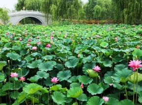 陕西浐灞区,陕西浐灞