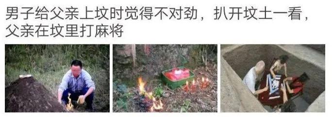 盘点5本轻松幽默的网络沙雕文,盘点那些有趣的沙雕文