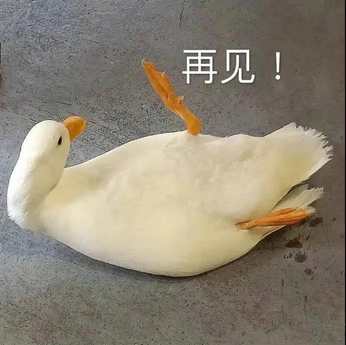 浜掕仈缃戝叕鍙搁绻佹崲logo,涓轰粈涔堜簰鑱旂綉澶у巶灞℃崲宀椾綅