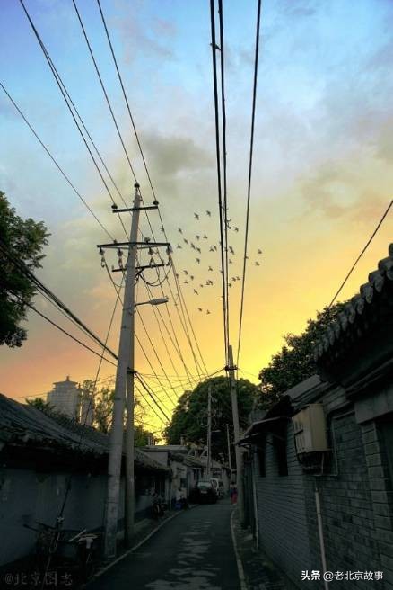 名人笔下的夏天段落,文人墨客笔下的北京