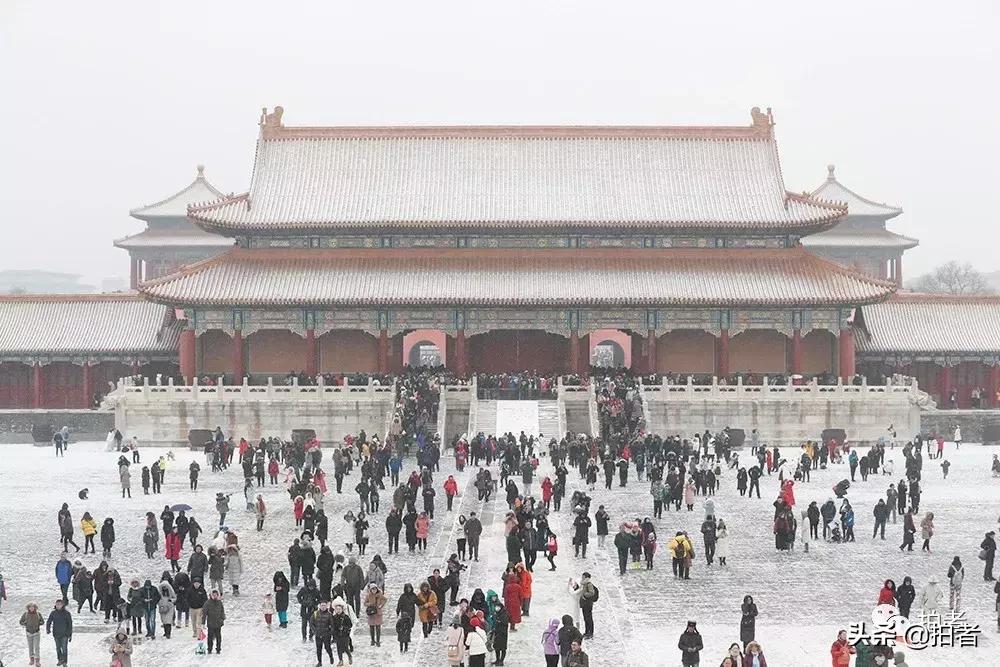 北京迎初雪9只熊猫,北京喜迎初雪去北京动物园看熊猫