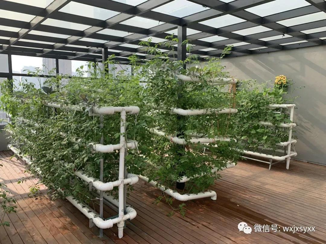 文明清风新吴有礼|江溪小学:倡导文明之风共践文明之行