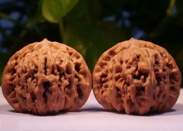 怎么分辨文玩核桃成熟度,如何辨别文玩核桃的好坏