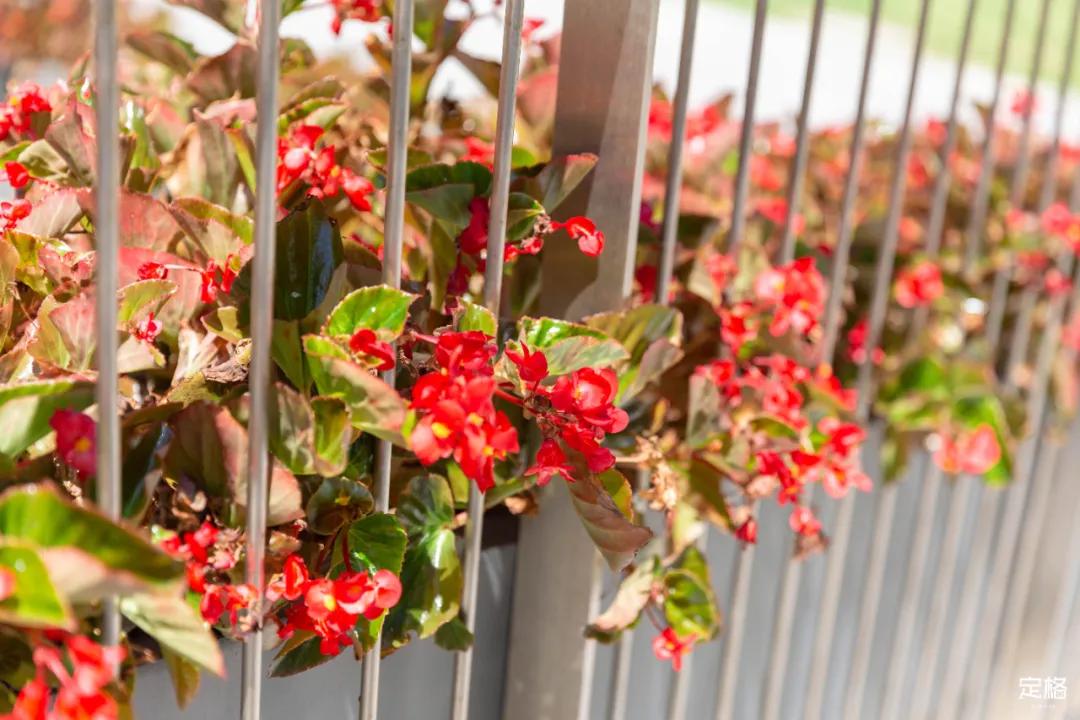 深圳大鹏小众村庄,超小众拍照圣地深圳