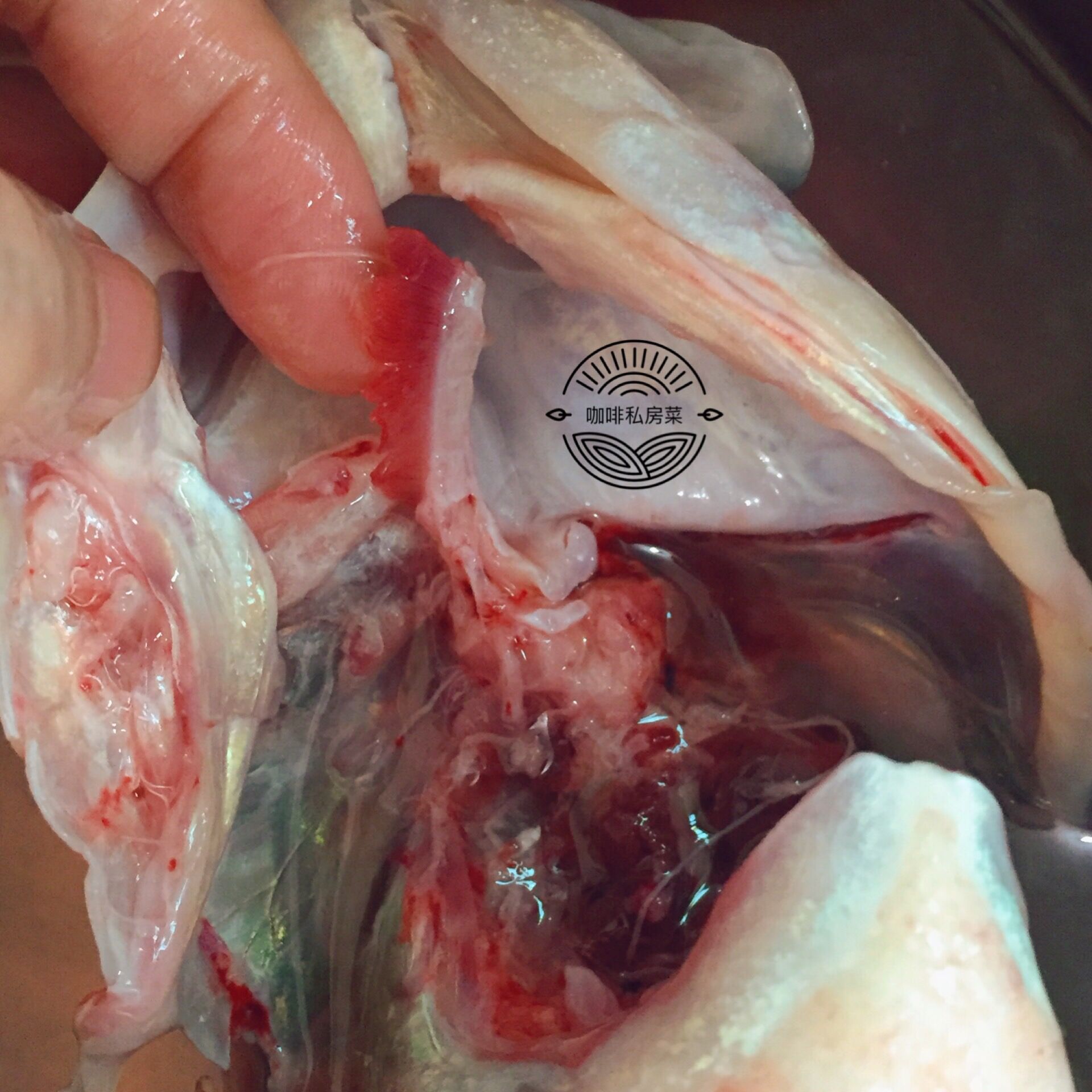 清蒸鱼是先浇热油还是先倒鱼豉油,清蒸鱼先放蒸鱼豉油还是先浇热油