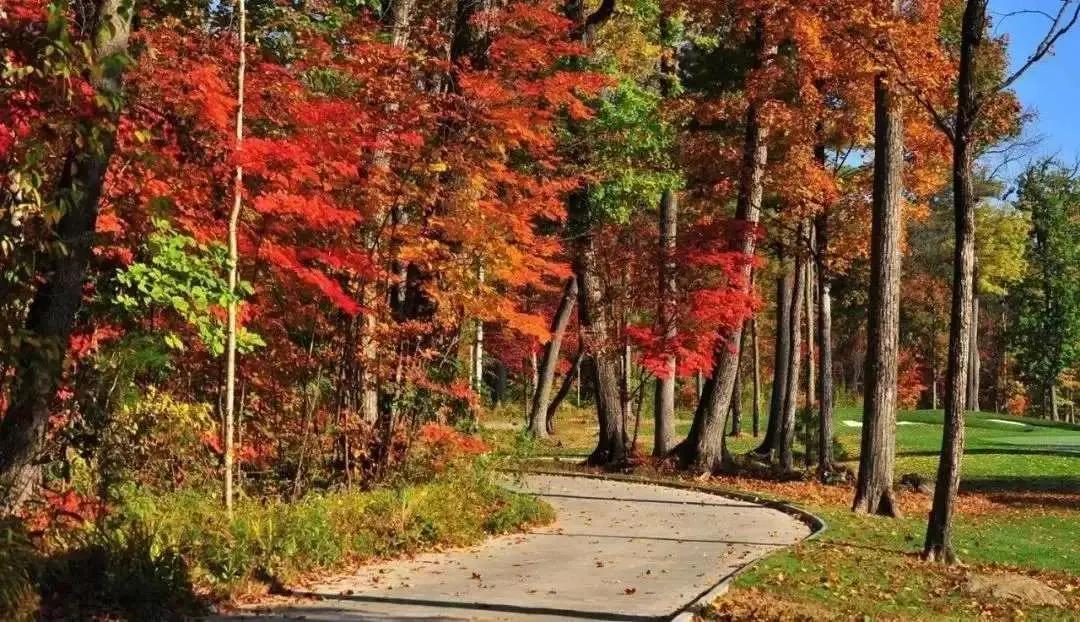 假期逛景区一大波优惠等着您,景点优惠活动视频