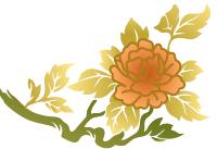 邹晓丽老师:《红楼梦》中的诗词(五)