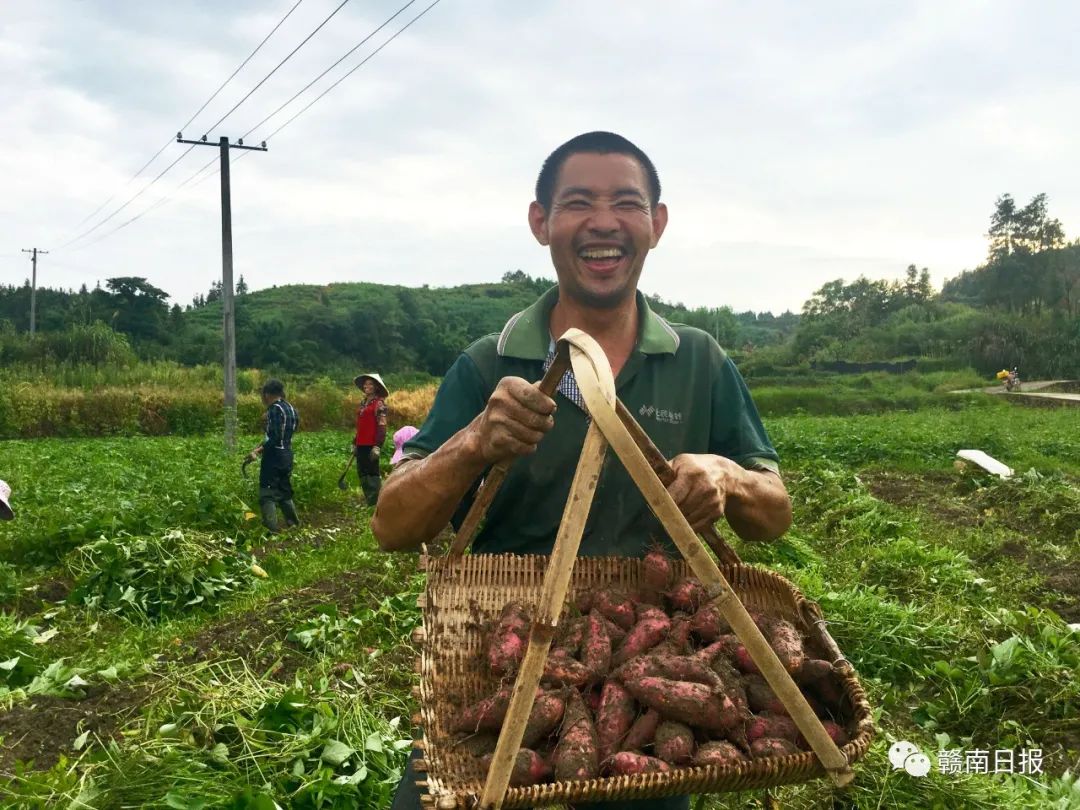 赣州市一批集体和个人获全省表彰,赣州市表彰先进集体