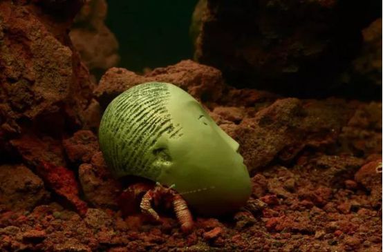 2020年全球200位最顶级藏家,十大高端藏家排行榜