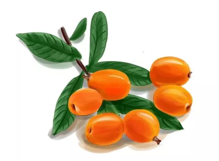 闽南人有多懂吃,闽南人吃好吃的