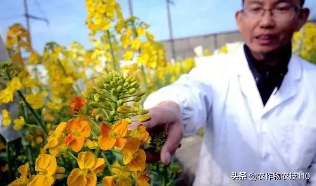 谁说农业不赚钱?!一亩收益60万,试过这3个新玩法的菜农赚嗨了