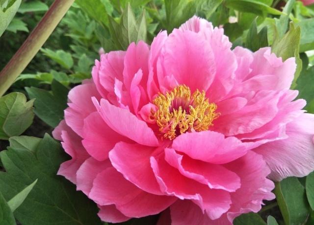 心理测试测你是不是享福命,测试测出你是富人命还是穷苦命