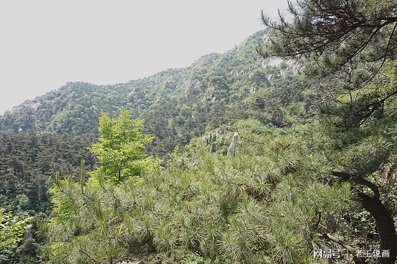 莲花山人间仙境美如画,云雾缭绕莲花山人间仙境