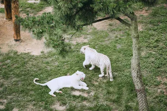 一生必去的中国50个最美原图,一生必去40个中国最美地方