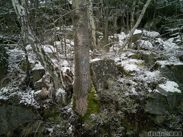 用照片说话：德国幻影公司“黄蜂II”Z4迷彩实际伪装效果如何？