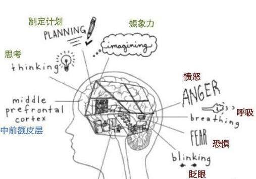 谷雨海报设计步骤,学术海报设计步骤