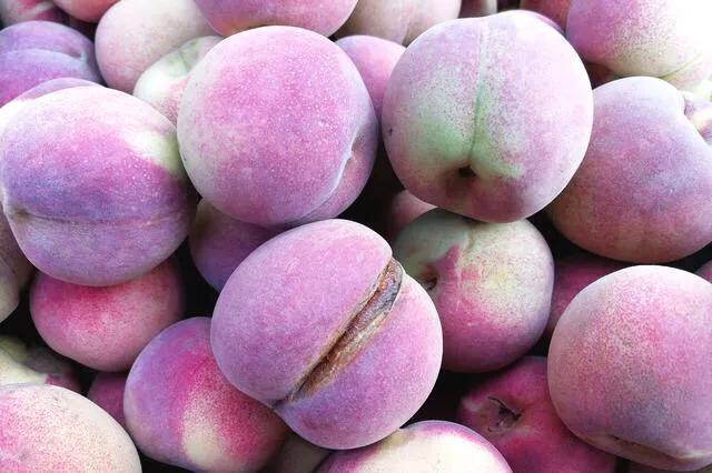 桃树花果期管理有哪些内容,桃树开花期如何管理