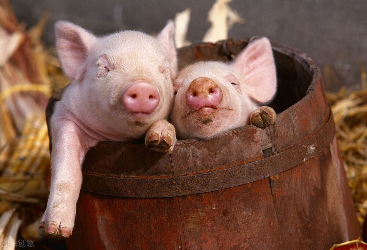 齐齐哈尔有哪些传说,齐齐哈尔黑龙传说