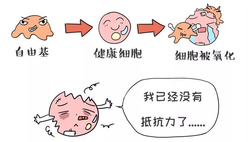 「富勒烯」到底是个啥?Rasi的富勒烯*干粉冻**护肤功效如何?