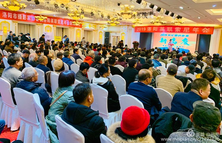 洛阳晚报作品,洛阳晚报2020年