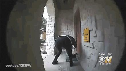 来美国五个月丢了10件快递,美国网购每天运送150万个包裹