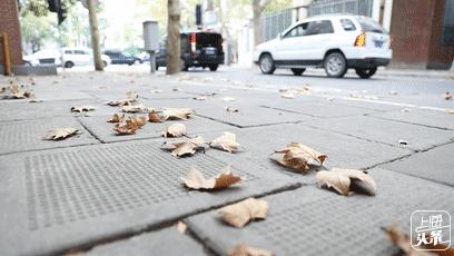 生日当天上海免费景点,上海网红打卡地点景点免费
