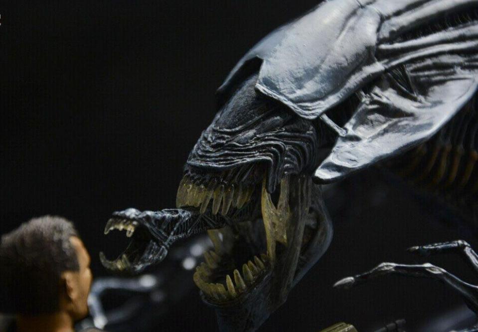 「推荐」《异形大战铁血战士》宇宙最强外星人之间的PK