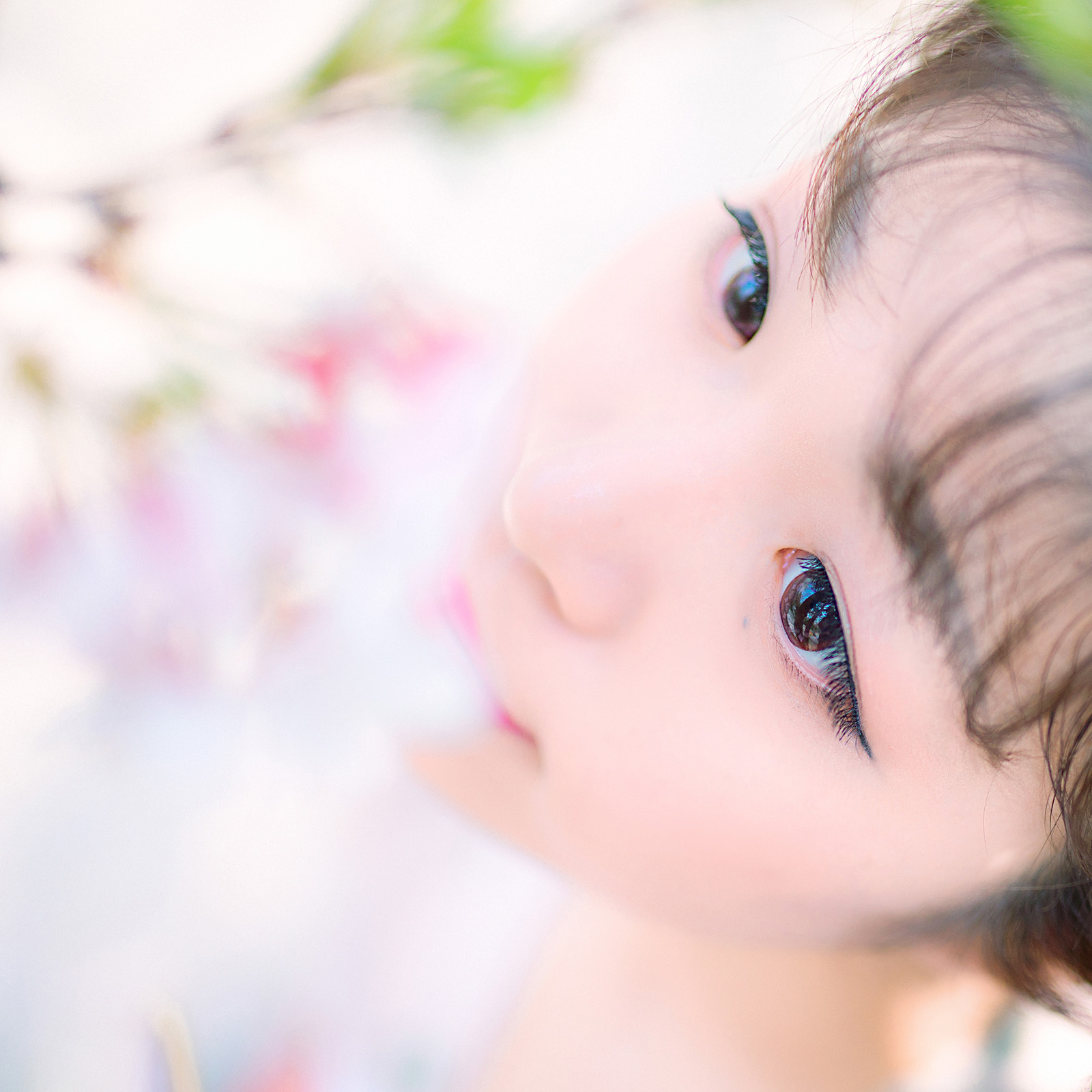 第14篇，尼康相机的标头-2021年元旦快乐