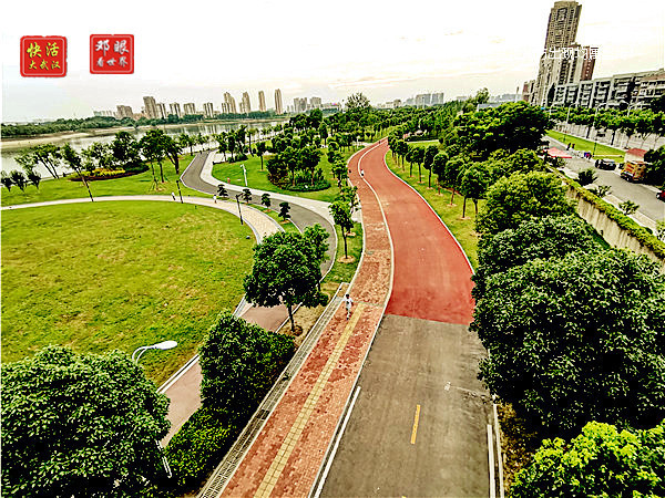 姝︽眽缃戠孩钃濇ˉ,姝︽眽鏈変釜钃濊壊鐨勬ˉ