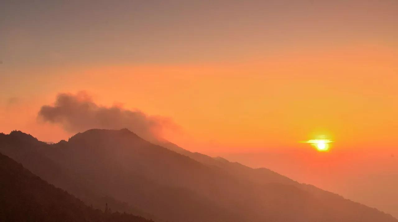 大自然的规律和启示,大自然的预知能力