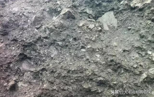 比较靠谱的有机肥,十大骗人的有机肥