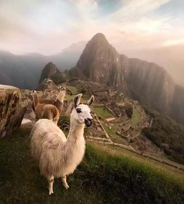 长相像外国人的汉族人,长相酷似中国人的印第安人