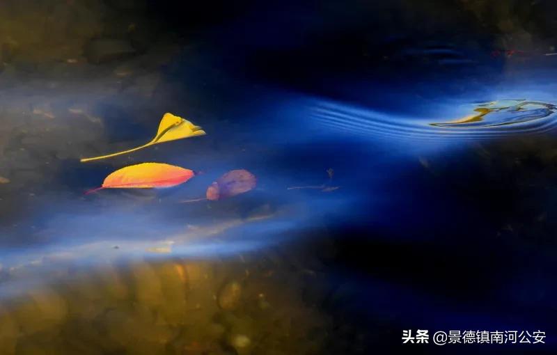 秋水诗词大全100首,王勃诗词秋水共长天一色