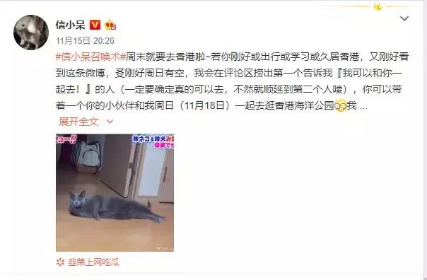 腾讯锦鲤,信小呆是不是杨超越