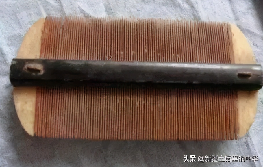 虱子虮子跳蚤的区别,虱子和虮子怎么消失的