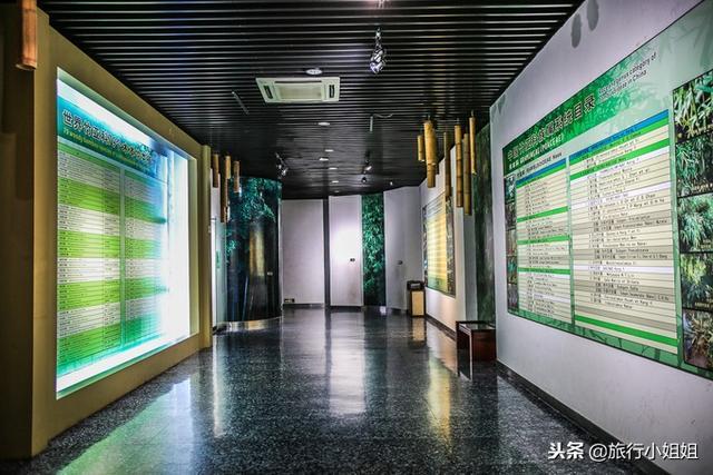 天目湖加南山竹海哪里泡温泉好,天目湖度假秘境享受绝美自然山水