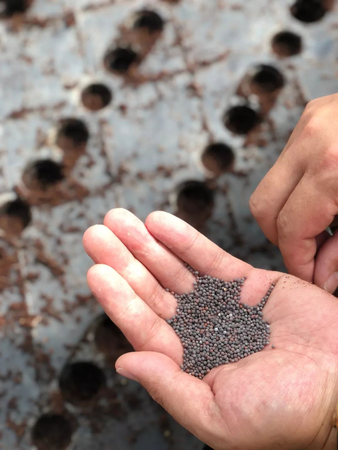 三亚这家口碑爆棚的酒店,三亚酒店最好看的一家