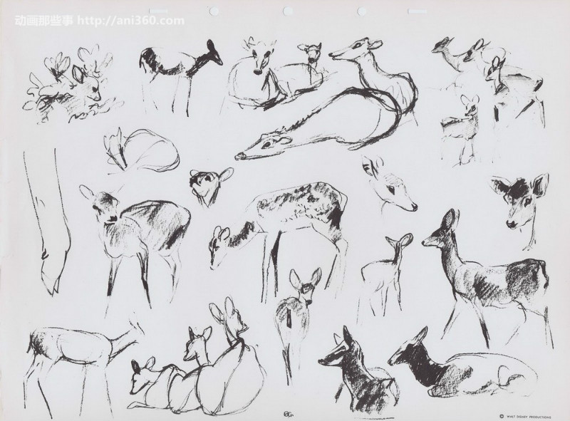 一百幅动物素描,近百幅动物画