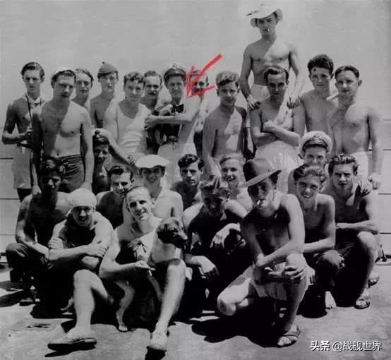 撸猫一时爽,撸错就很惨,盘点这些战舰上的玄学舰猫,你了解多少