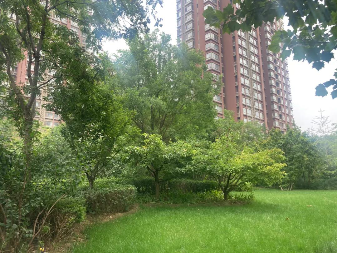 一线城市地铁口商住能买吗,2万以下地铁房哪里买最好