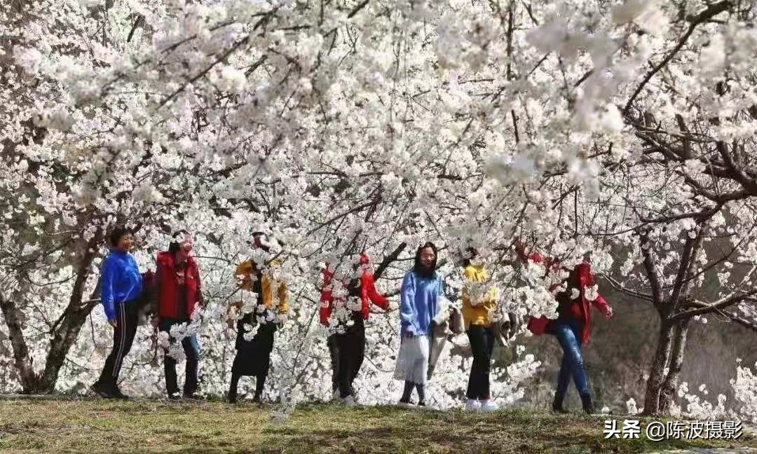 赞美湖北省三峡风景的诗词七绝,旅游三峡诗七绝
