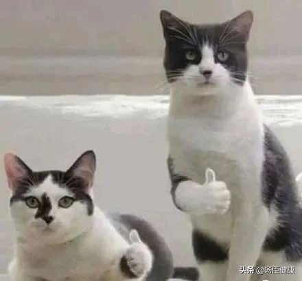 其它地方的毛发可以移植到头上吗,身上的毛可以移植到头发上吗