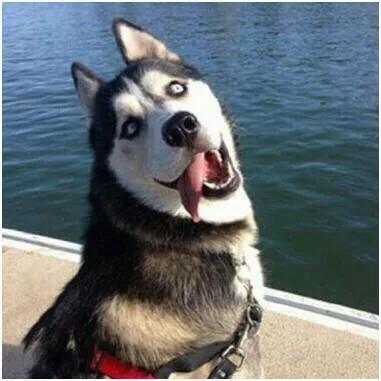 淘宝内部优惠券怎么赚钱的,淘宝分享优惠券怎么赚钱