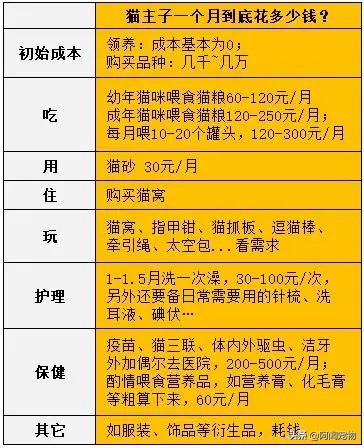 看完猫你还想养吗,养猫咪怎么最省钱也能吃好