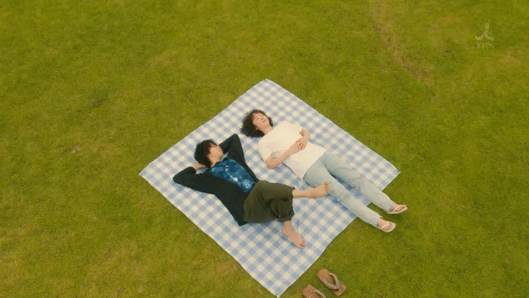 不想回老家喂猪,请假回家喂猪